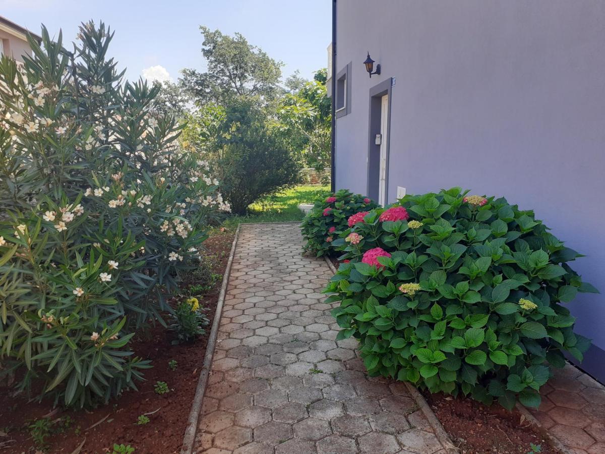 Bed And Breakfast Julia Seget  Ngoại thất bức ảnh